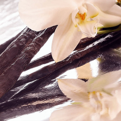 Grass-Fed Whipped Tallow Balm — Nature’s Healing Hydration